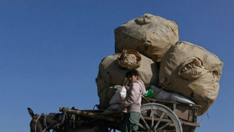 World News | Pakistan's Border Mismanagement Bleeds Economy as Balochistan-Afghan Trade Remains Frozen