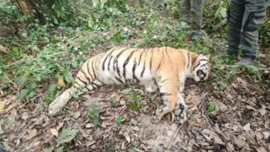 India News | Assam: Tigress Carcass Found in Kaziranga National Park