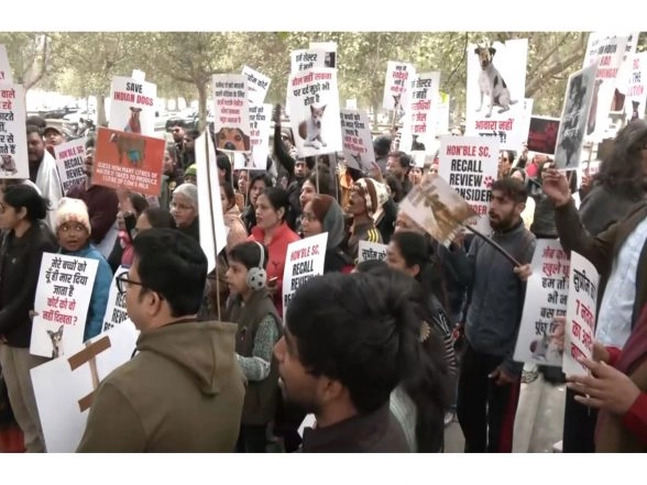 India News | Residents Urge SC to Rethink Stray Dog Order, Seek Safe Coexistence with Animals in Lucknow