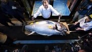 World News | Japan: Bluefin Tuna Fetches Record USD 3.2 Million in Tokyo's Fish Market at New Year Auction
