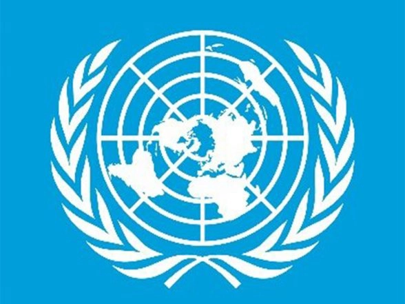 Business News |  Global Economy Resilient, but Trade Tensions, Fiscal Strains Cloud Outlook: United Nations Report