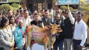 India News | MP Congress Protests Against Alleged Cow Slaughter in Bhopal