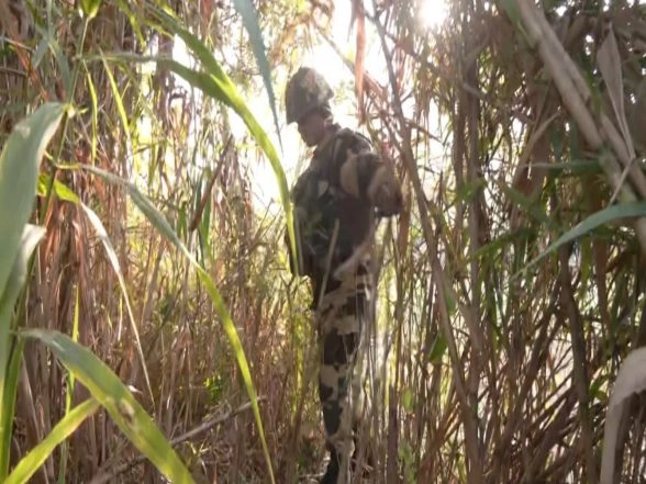 India News | J-K: Security Forces Launch Search Operation After Arms Consignment Recovered in Samba