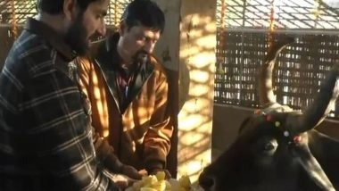 Entertainment News | Sonu Sood Visits Varahi Gaushala in Gujarat, Donates Rs 22 Lakhs for Animal Welfare