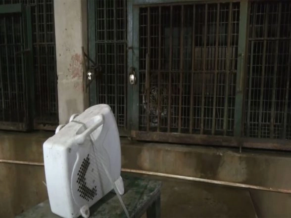 India News | Assam State Zoo Authorities Take Precautionary Measures to Keep Animals Warm Amid Winter