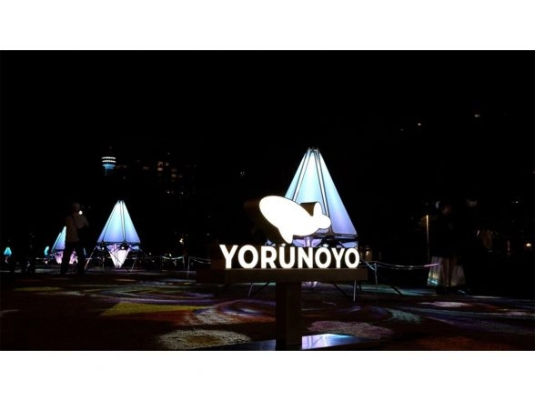 World News | Yokohama City Shines in Winter with Acclaimed Illumination Art