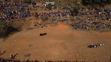 World News | Nepali Villagers Struggle to Keep Age Old Bull-fight Tradition Alive