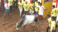 Entertainment News | Tamil Nadu: Trichy Holds the Year's First Jallikattu with 750 Bulls, 500 Tamers