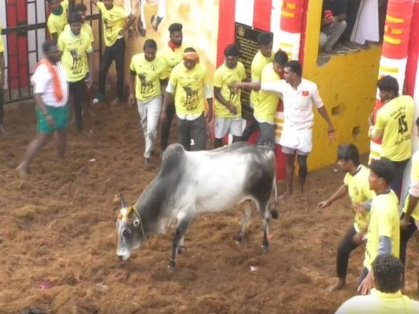Entertainment News | Tamil Nadu: Trichy Holds the Year's First Jallikattu with 750 Bulls, 500 Tamers