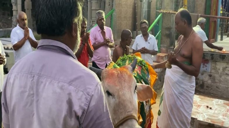 India News | Mattu Pongal Festival Celebrated Across Tamil Nadu
