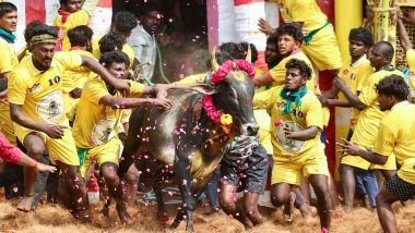 India News | Tamil Nadu CM Stalin to Witness Jallikattu Event in Madurai; Drone, UAV Ban Imposed