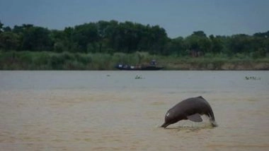 India News | Second Rangewide Estimation of Riverine and Estuarine Dolphins in India Starts from Bijnor