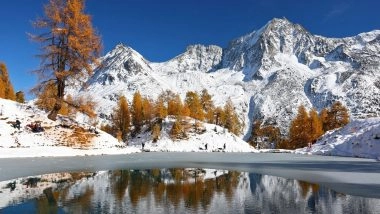 World News | Protesters March Through Alpine Villages Against World Economic Forum in Davos