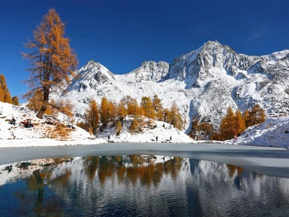 World News | Protesters March Through Alpine Villages Against World Economic Forum in Davos