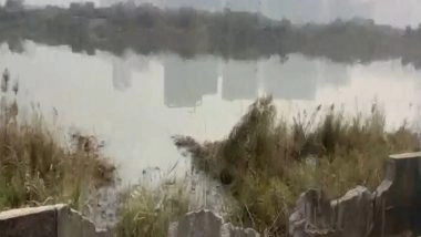 India News | Car Falls into a Drain in Greater Noida, 27-year-old Dies; Police Launch Probe