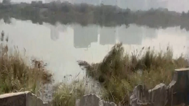 India News | Car Falls into a Drain in Greater Noida, 27-year-old Dies; Police Launch Probe