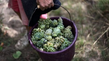 World News | Trump Threatens 200pc Tariffs on French Wine Post Marcon's Refusal to Sit in Gaza Board of Peace