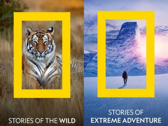 Entertainment News | National Geographic Set to Bring Real-life Stories to Indian Audiences to Celebrate 138th Anniversary