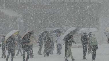 India News | Himachal: Tourists Throng Shimla as Season's First Heavy Snowfall Brings Cheer to Hill Town