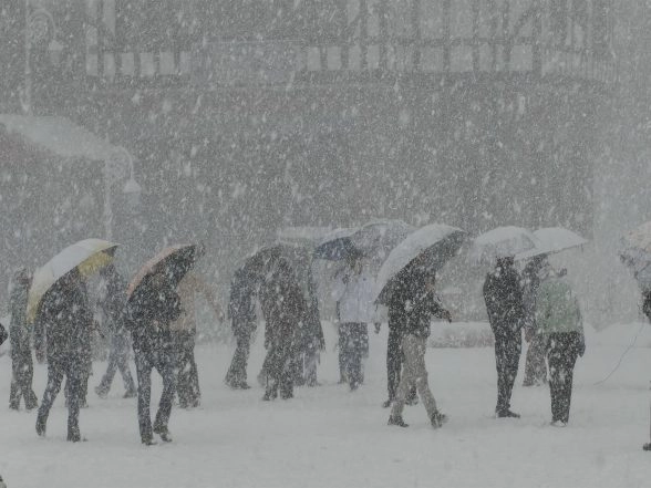 India News | Himachal: Tourists Throng Shimla as Season's First Heavy Snowfall Brings Cheer to Hill Town