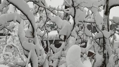 India News | IMD Forecasts More Snow in Himachal Pradesh; Commuters Stranded as Road Turn Slippery