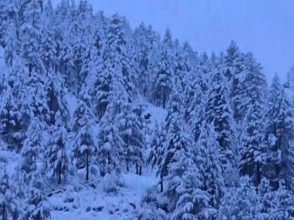 India News | J-K: Heavy Snowfall Continues in Doda; Residents Advised to Stay Indoors