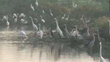 India News | Tamil Nadu: Waterbird Population Census Begins in Thoothukudi