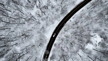 World News | 'FEMA Fully Prepared to Respond': Trump Says Ahead of Historic Winter Storm