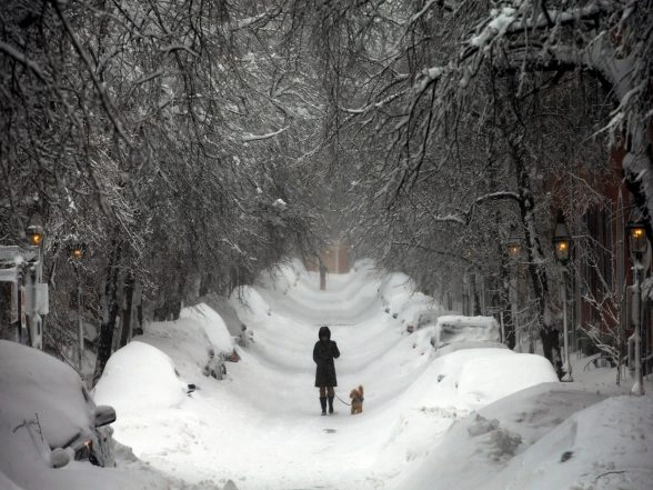 World News | US Winter Storm Causes 850,000 Power Outages, Forces 10,000 Flight Cancellations