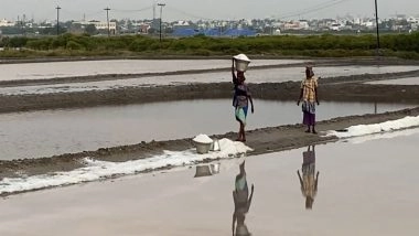 India News | Tamil Nadu: Coastal Areas of Thoothukudi District Witness Degradation, Affecting Overall Coastal Life