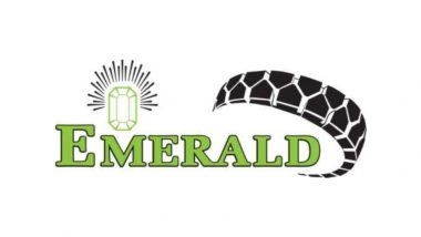 Business News | Emerald Tyre - An Indian Tyre Manufacturer Plans To Acquire 65% Stake In A South African Tyre Company To Expand Its Volumes In US Market