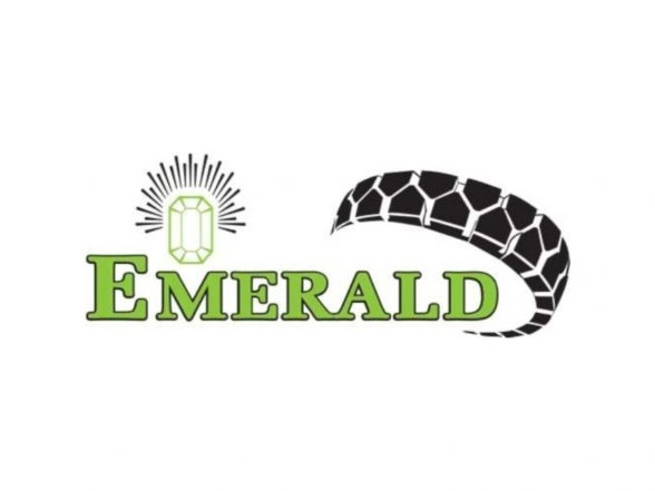 Business News | Emerald Tyre - An Indian Tyre Manufacturer Plans To Acquire 65% Stake In A South African Tyre Company To Expand Its Volumes In US Market