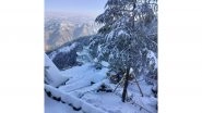 India News |  Tourists Thrilled as Fresh Snowfall Blankets Shimla; Travel Industry Sees Revival