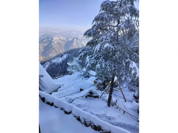 India News |  Tourists Thrilled as Fresh Snowfall Blankets Shimla; Travel Industry Sees Revival