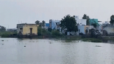 India News | Tamil Nadu: Salt Production Halts in Thoothukudi as Stagnant Rainwater Causes Trouble