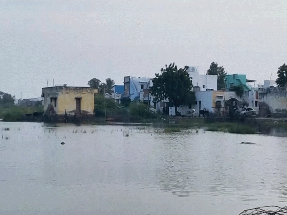 India News | Tamil Nadu: Salt Production Halts in Thoothukudi as Stagnant Rainwater Causes Trouble