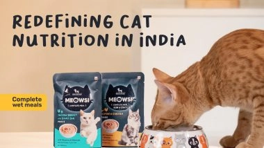Business News | Meowsi by HUFT Takes the Lead on Redefining Cat Nutrition in India