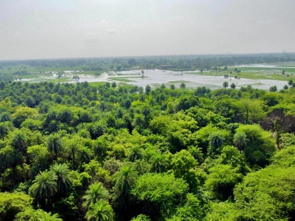 India News | Environment Minister Bhupender Yadav Announces Addition of Two New Wetlands to Ramsar List, Ahead of World Wetlands Day 2026