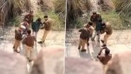 Fake Arrest Caught on Camera in Uttar Pradesh: 4 Aligarh Police Personnel Suspended After Viral Video Shows Them Planting Knives on 2 Young Men To Frame Them Fake Arrest Caught on Camera in Uttar Pradesh: 4 Aligarh Police Personnel Suspended After Viral Video Shows Them Planting Knives on 2 Young Men To Frame Them