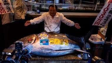 Japan: Sushi Chain Pays Record USD 3.2 Million for Bluefin Tuna at Tokyo&rsquo;s New Year Auction