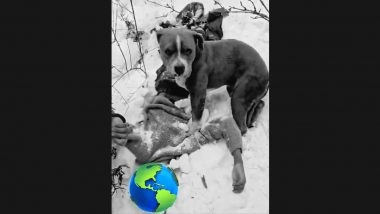 Chamba Tragedy: Pet Dog Found Guarding Bodies of Owner, His Cousin in Kukru Kanda Hills After They Go Missing During Trekking Trip; Heartbreaking Pic Surfaces