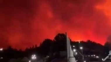 Chile Wildfire: 15 Dead, Thousands To Flee As Wildfires Race Across Central and Southern Regions; Chilean President Gabriel Boric Declares State of Catastrophe