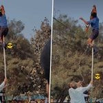 Chhattisgarh: Student Scales Flagpole After National Flag Gets Entangled During Republic Day Celebrations in Durg, Successfully Untangles Tricolour; Video Goes Viral