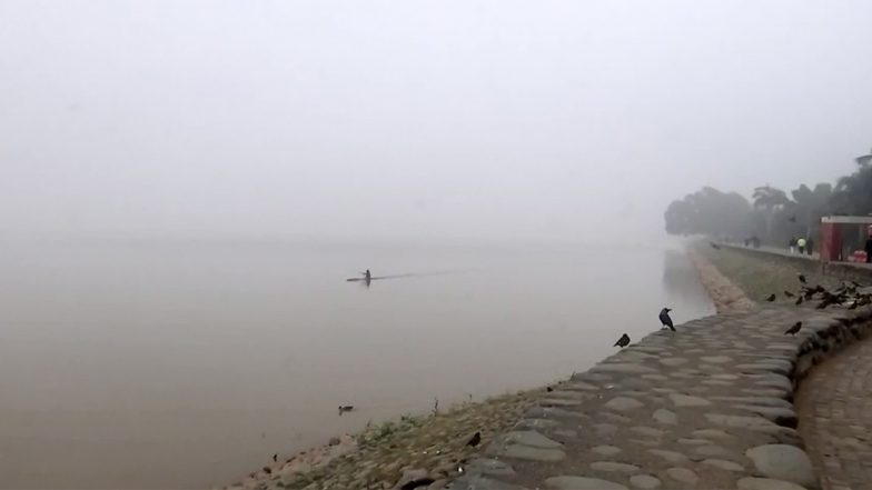 Haryana Weather News: IMD Issues Agromet Advisory for State; Cold Wave and Dense Fog Likely, Farmers Advised Caution