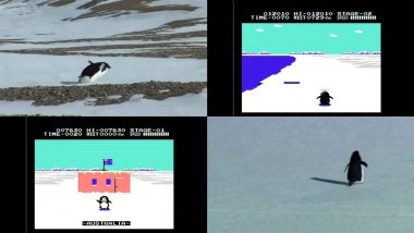 From Penguin Video Game to Penguin Meme: The Adventure Never Ends
