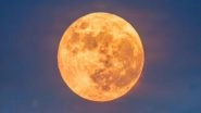 Wolf Moon 2026 Date and Time: When and How To See January’s Giant Full Moon Supermoon Wolf Moon 2026 Date and Time: When and How To See January’s Giant Full Moon Supermoon