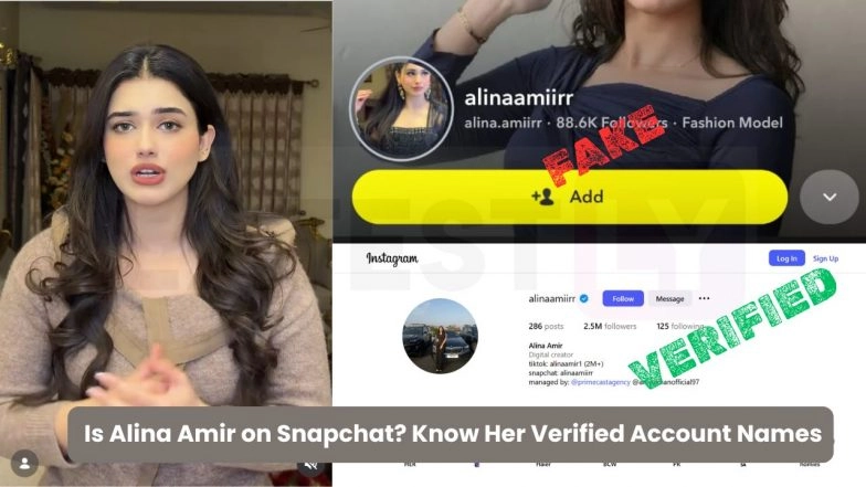 Is Alina Amir on Snapchat? Know Her Verified Account Names | 👍 LatestLY