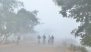 Madhya Pradesh Weather Forecast: State Braces for Intense Chill; IMD Issues Orange Alert for Bundelkhand Region