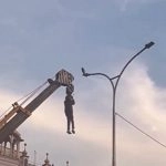 Punjab: Man Hangs From Crane To Rescue Bird Trapped in Dangling Wires, Video of Incident Goes Viral