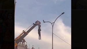 Punjab: Man Hangs From Crane To Rescue Bird Trapped in Dangling Wires, Video of Incident Goes Viral